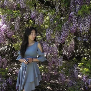 Lynn Honglin Liu