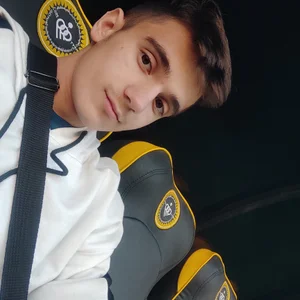 Ramtin Mirzatabibi