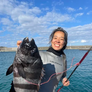 Ayako Miyoshi