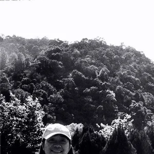Lin Huimin