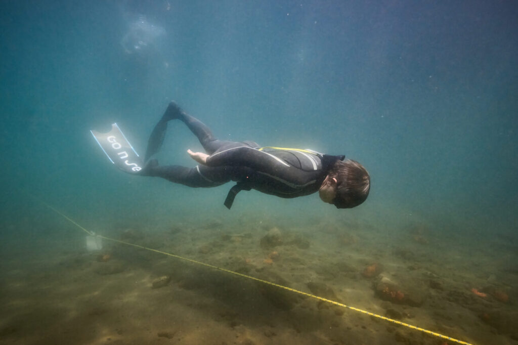 Semana do Mar 2026 - Apneia Dinâmica