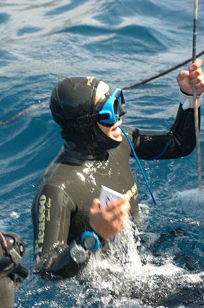 Rumo ao Abismo 2004