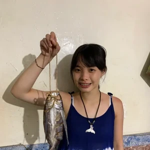 Lin Yinchia
