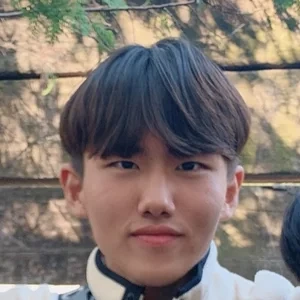 Taegi Lee