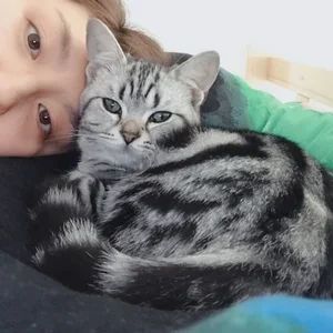 Wenjuan Li