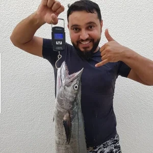 Ammar Alhamayda
